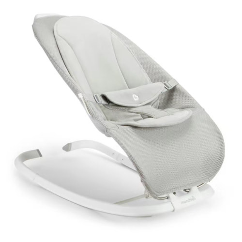 Electric Bouncer & Rocker