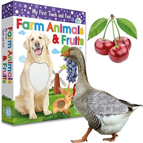 My Touch and Feel English Spanish Bilingual Picture Double Sided Sensory Flash Cards for Infant, Toddlers, Kids, Learn Animals, Fruits, and Vehicles, Fun Learning and Educational Flashcards