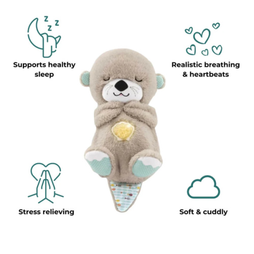 The Dreamy Otter – ALLENDE