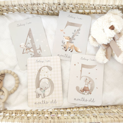 BABY MILESTONE CARDS, Baby Shower Gift, New Baby Gift, Baby Progress Cards, Animals Milestone Cards, Neutral Baby Cards, Unisex Baby cards.