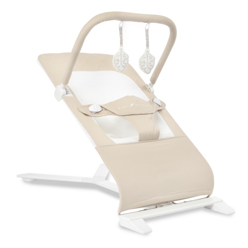 Baby Delight Alpine Deluxe Portable Baby Bouncer, for Infants 0-6 Months, Organic Oat