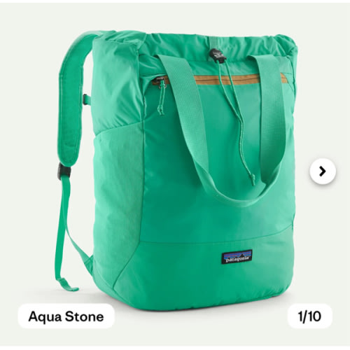 Patagonia Terravia Tote Bag Backpack 24L