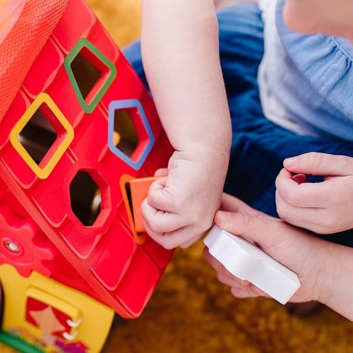 Melissa & Doug Blue's Clues & You! Wooden Take-Along House Shape Sorter Activity Play Set (8 Pieces)
