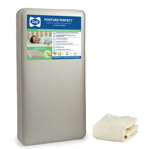 Sealy Baby Posture Perfect 2-Stage Waterproof Baby Crib Mattress and Toddler Bed Mattress - Hybrid Memory Foam & 150 Premium Coils - 52"x28" & Reviews | Wayfair