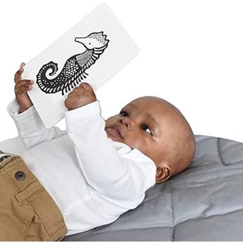 Wee Gallery Black and White Art Flash Cards for Babies, High Contrast Educational Animal Picture Cards, Baby Visual Stimulation, Brain and Memory Development in Infants and Toddlers - Ocean Animals