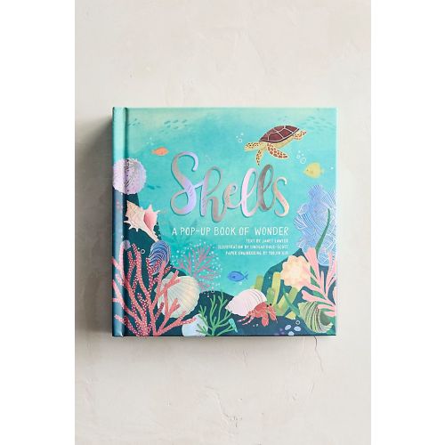 Shells: A Pop-Up Book of Wonder