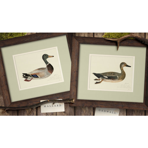 Vintage Duck Print | Antique Animal Painting | Rustic Boy Nursery | Lake House | Office Decor | Gift for Hunter | Kids Nursery Art