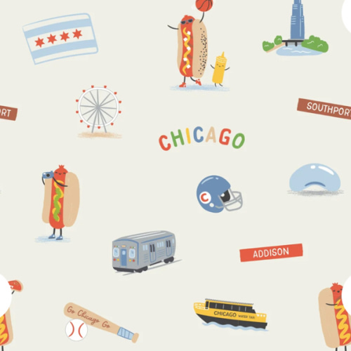 Chicago Field Trip Swaddle