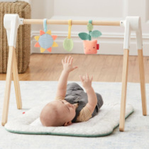 Skip Hop Skip Hop x Babylist Garden Oasis Toy Arch with Mat