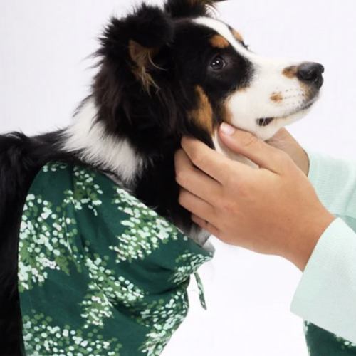 Organic Cotton Holiday Matching Family Pajamas | Riff