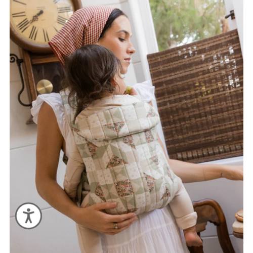 Aerial Carrier – WildBird