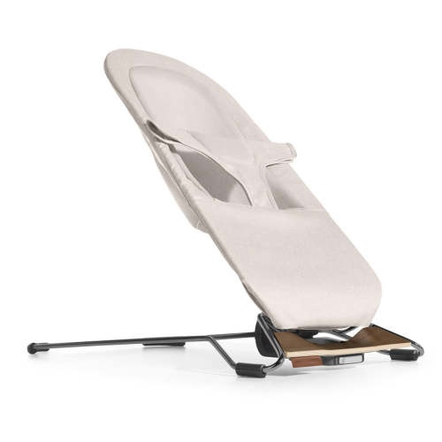 Mira 2-in-1 Bouncer & Seat - Charlie