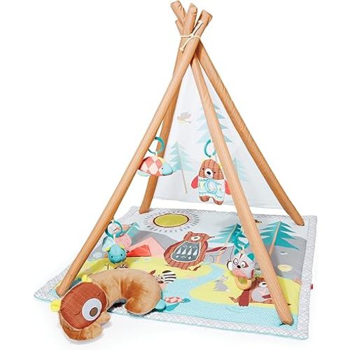 Skip Hop Baby Play Gym, Camping Cubs, Green