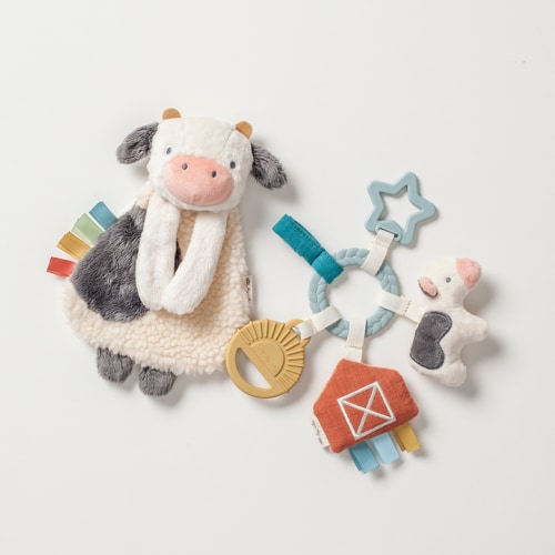 Baby Gift Set - Unique & Fun with Itzy Ritzy's Bitzy Busy Gift Set