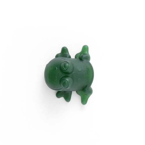 Fred the Green Frog – Hevea Planet