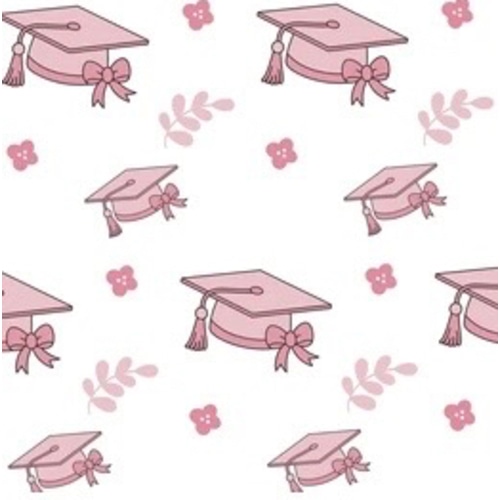 Emma’s 529 College Fund