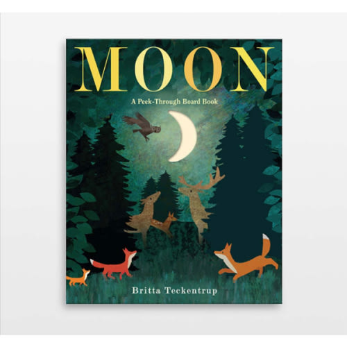 Moon: A Peek-Through Kids Board Book by Britta Teckentrup