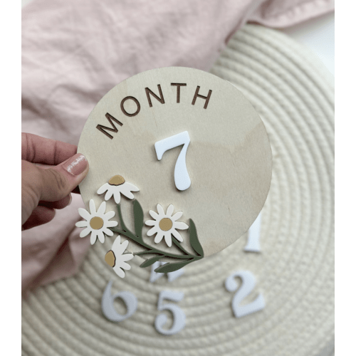 Wooden Milestones Set, Interchangeable Monthly Milestones, Baby Milestone Cards, Baby Monthly Milestone Marker, Personalized Baby Wood Sign