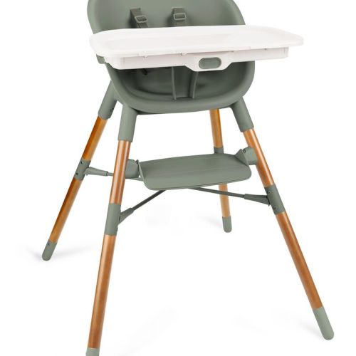 Thyme EON 4-in-1 High Chair - Thyme Green | skiphop.com