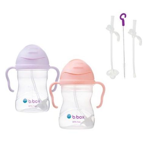 B.box 8oz Sippy Cup 2-pack + Replacement Straws