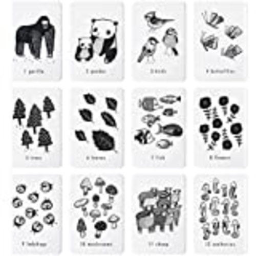 Educational Flashcards for Babies, Black and White Animal Alphabet Learning Cards, Double Sided, Perfect for Visual Stimulation, Cognitive Development in Babies and Toddlers Jungle Theme