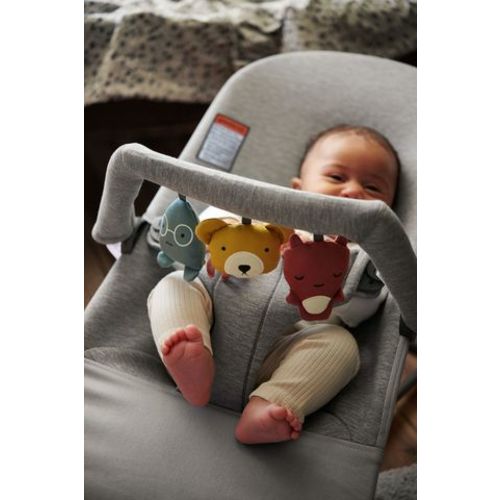 Bouncer Bliss & Balance Soft with matching toy