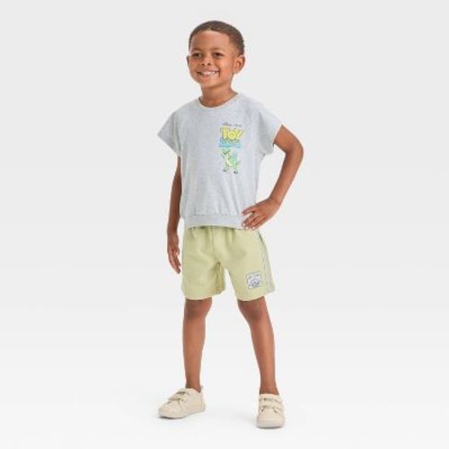 Toddler Boys' 2pc Disney Toy Story Short Sleeve T-Shirt and Shorts Set - Gray 5T