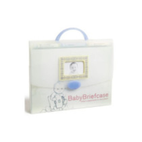 BabyBriefcase Document Organizer
