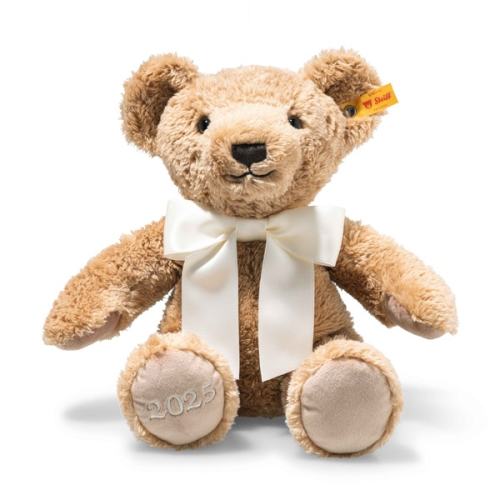 2025 Cozy Teddy Bear of the Year