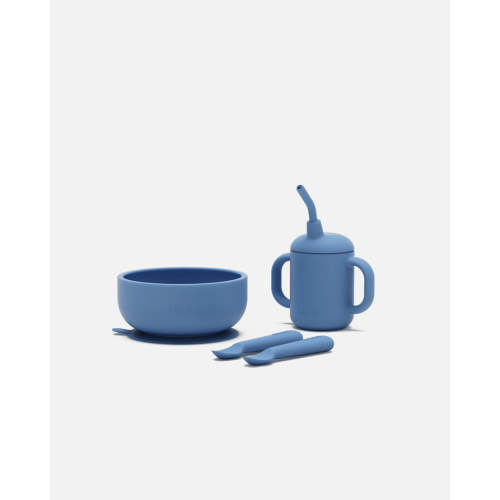First Bites Starter Kit / Blueberry