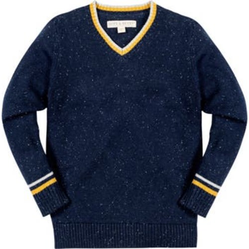 Baby Boys' Organic V-Neck Sweater, 18-24 month