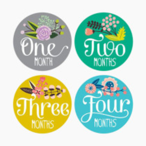 Lucy Darling Milestone Stickers - Little Artist