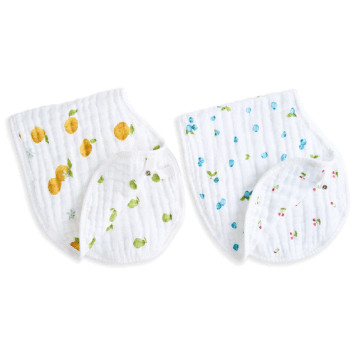 Organic Burpy Bib (2 Pk)
