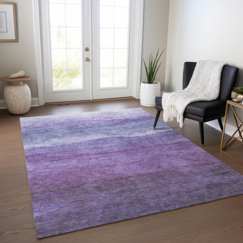 Machine Washable Indoor/Outdoor Cinead ACN1699 Purple Rug