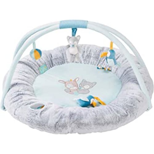 Nattou Tim and Tiloo Play Mat PlayGym with Arch for Security and Head Support 87 x 87 x 52 cm Blue/Grey