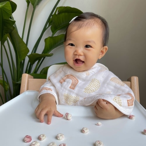 boutique cotton muslin burpy bibs 2 pack