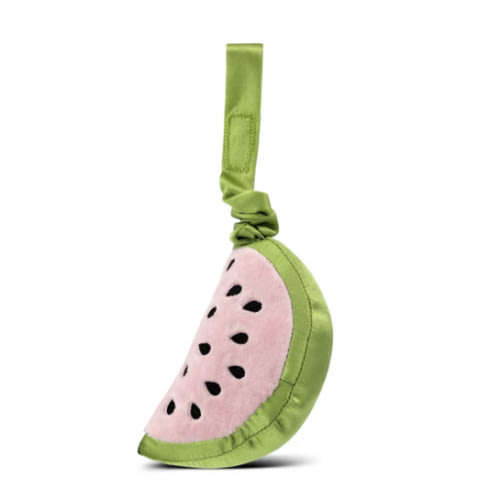 Watermelon Stroller Toy