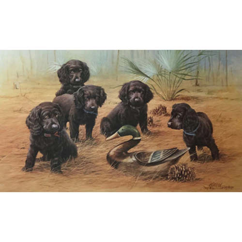 James Killen Low Country Treasures Boykin Spaniels Art Print | WildlifePrints.com