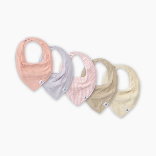 Burt's Bees Baby Set of 5 Bandana Bibs - Pink, One Size
