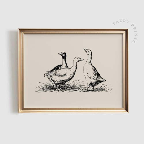 Modroom Goose Sketch Print | Vintage Wall Art | Vintage Nursery Wall Art | Rustic Ducks | #914 Wall Art, Modern Wall Decor, 8x12 UNFRAMED