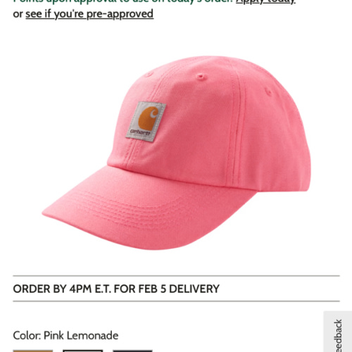 Carhartt Signature Canvas Cap for Babies or Kids