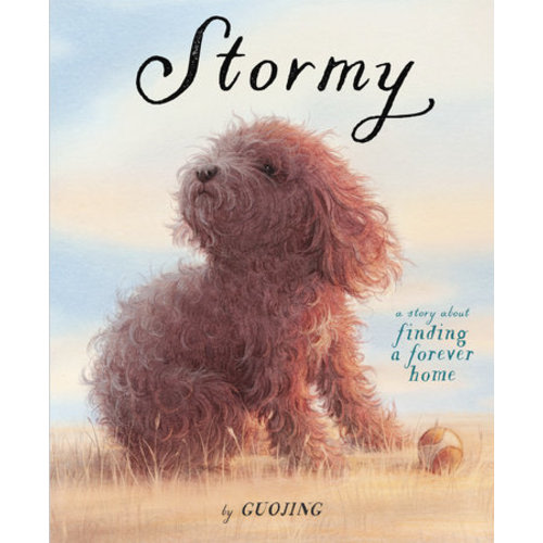 Stormy by Guojing: 9781524771768 | Brightly Shop