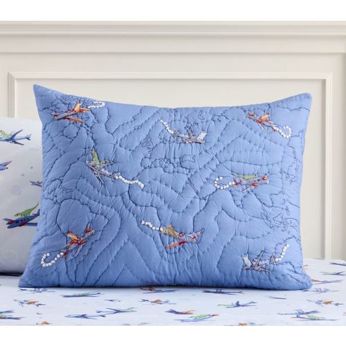 Airplane Map Pillow Sham