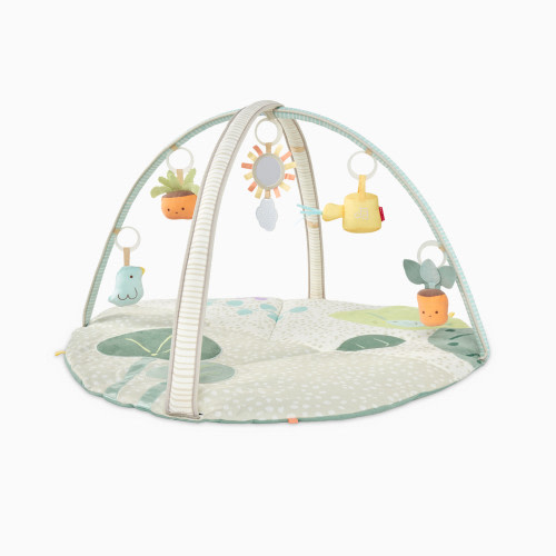 Skip Hop Garden Oasis Activity Gym