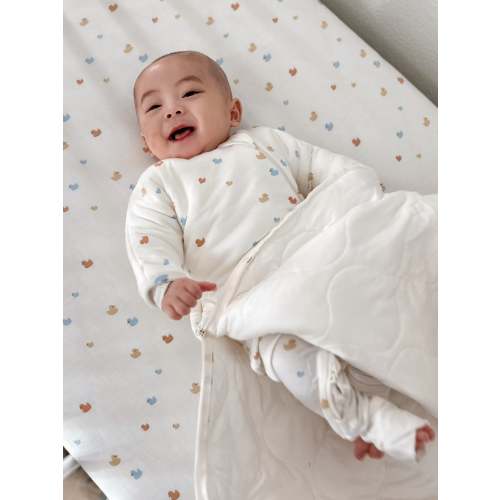 Long Sleeve Transitional Swaddle Sack - Ducks