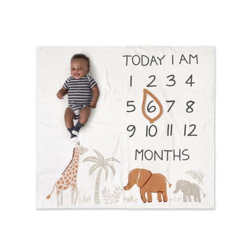 Modern Moments by Gerber Baby Boy Milestone Blanket & Frame Set, 2-Piece, Ivory Safari