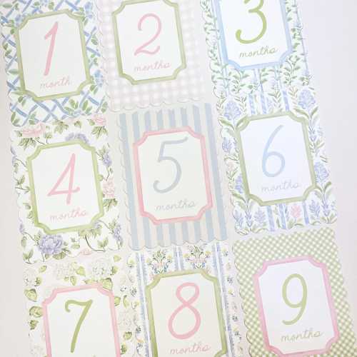 Baby Girl Pink Floral Milestone Cards, Monthly Baby Milestone Set, Baby Shower Gift, Milestone Markers, Coquette Nursery Newborn Photo Prop