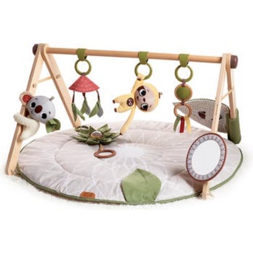 Luxe Developmental Gymini