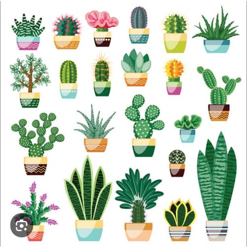 Houseplants