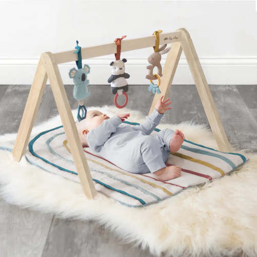 Bitzy Bespoke Rainbow Ritzy Activity Gym™ Wooden Gym – Littles